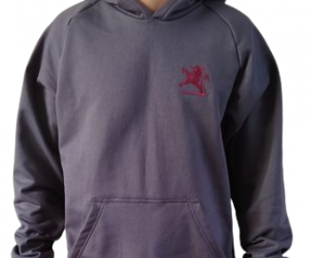 Uniforme Instituto San Luís